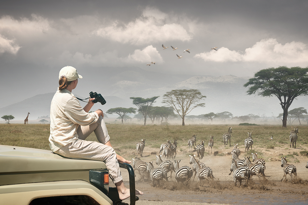 3 Days tarangire manyara ngoro ngoro safaris