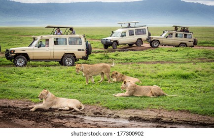THREE DAY SAFARI