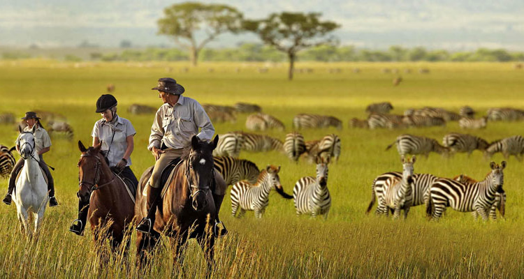 THREE DAY SAFARI
