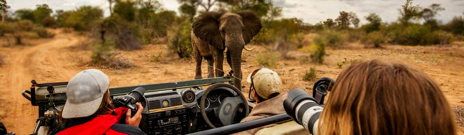 THREE DAY SAFARI