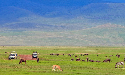 2 Days safari tarangire ngorongoro crater