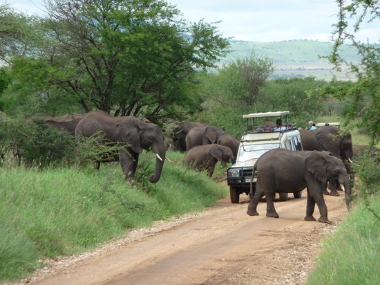 TWO DAYS SAFARI