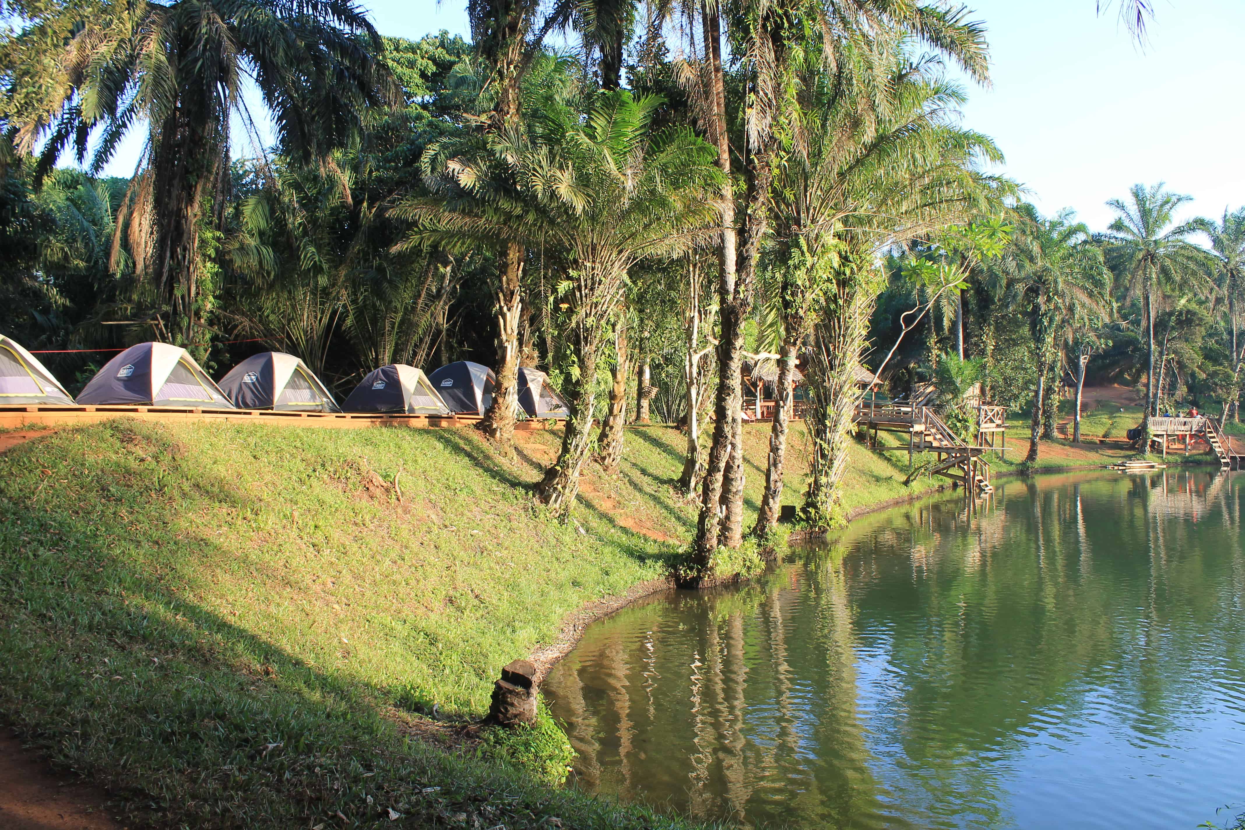 2 Days 1 night magoroto forest estate