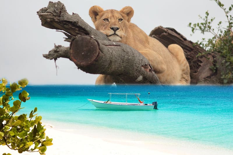 MOST POPULAR TOURS IN ZANZIBAR