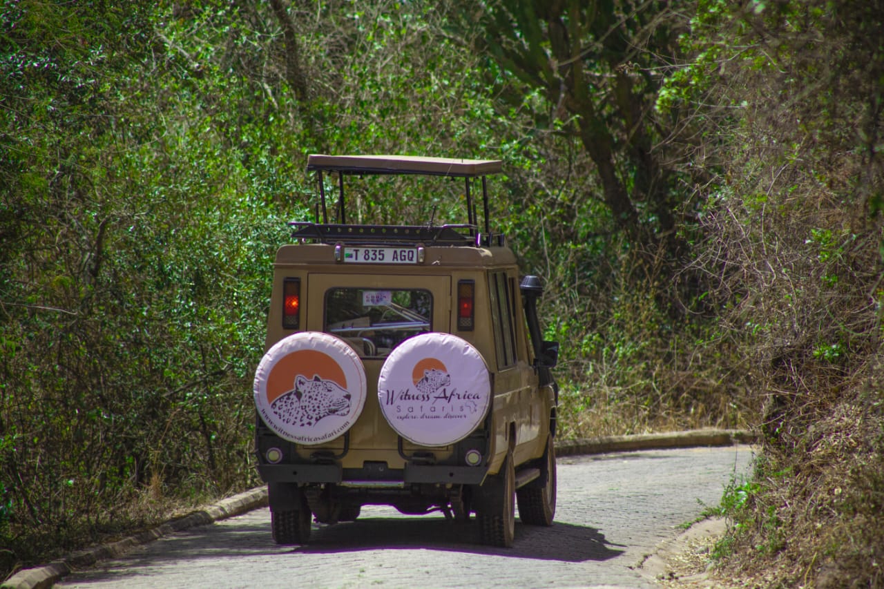 Witness africa safaris | Joining Group Safari, Honey Moon Tours,Zanzibar Beach Holidays,Walking Safaris ,Culture Safaris Wild beest migration